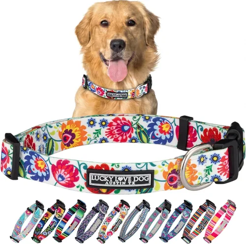 Vista 61 de Lucky Love Dog - Collar para perras pequeñas, diseño Blackbird de estampado alegre con flores de primavera y verano, talla XS Collar Blackbird