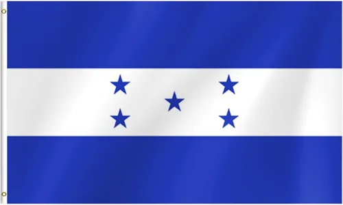 Vista 19 de Bandera argentina de 3 x 5 pies para fiestas, desfiles, eventos deportivos, fiestas patrióticas, decoración interior y exterior