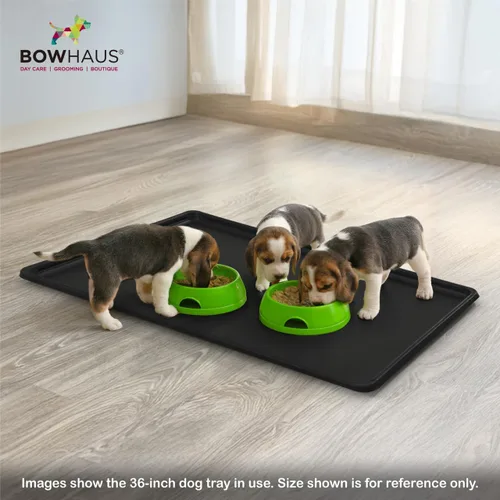 Vista 8 de BOWHAUS Bandeja de plástico resistente e impermeable de 22.7 pulgadas para mascotas de 24 pulgadas, criadero de conejo, hurón, sartén versátil