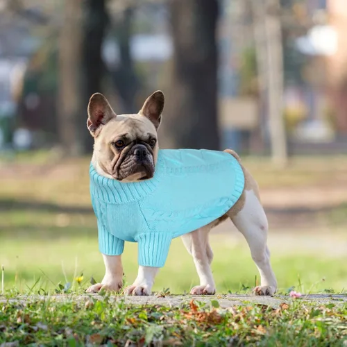 Vista 129 de Queenmore - Suéter de punto trenzado con cuello alto para perros pequeños, para climas fríos, para chihuahua, bulldog, teckel, carlino y yorkie, XS