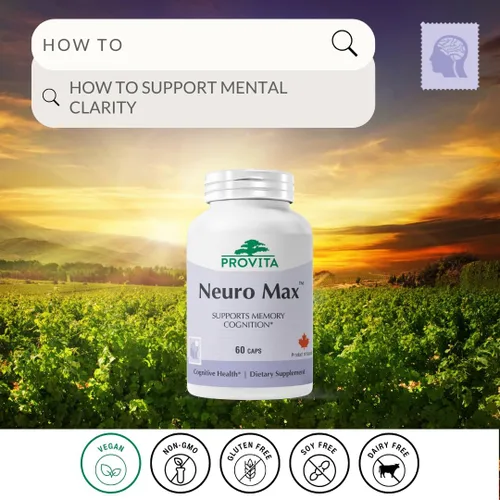 Vista 2 de PROVITA Neuro Max Suplemento de apoyo cognitivo Apoyo vegano para el nervio y la memoria Acetil L-carnitina, ginkgo biloba, melena de león