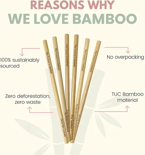 Vista 6 de The Future is Bamboo - Pajitas de bambú, reutilizables, biodegradables, paquete de 6