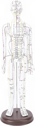 Vista 10 de Modelo de acupuntura de cuerpo humano de 20.5 in, modelo de acupuntura de punto de presión de maniquí de enseñanza de chino masculino/femenino