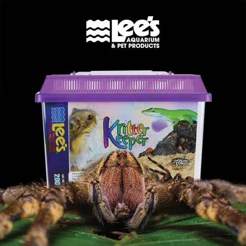 Vista 2 de Lee's Kritter Keeper, rectángulo con tapa, pequeño, varios