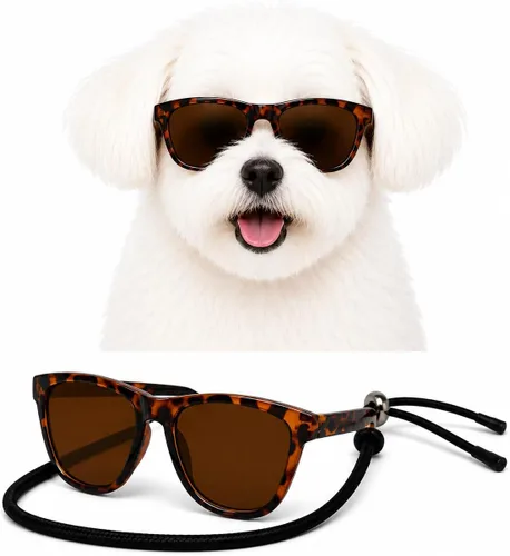 Vista 24 de G014 Retro 80s - Gafas de sol para perros y mascotas, taza de té, juguete de raza pequeña a mediana (12-25 libras, negro)