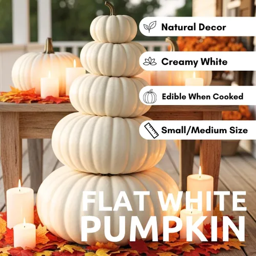 Vista 6 de Semillas de calabaza apiladoras planas blancas para plantar (10 semillas)
