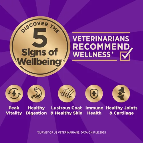 Vista 2 de Wellness CORE+ Alimento seco para perros adultos con trozos liofilizados, croquetas sin granos, natural, alto en proteínas, sin pollo, pescado