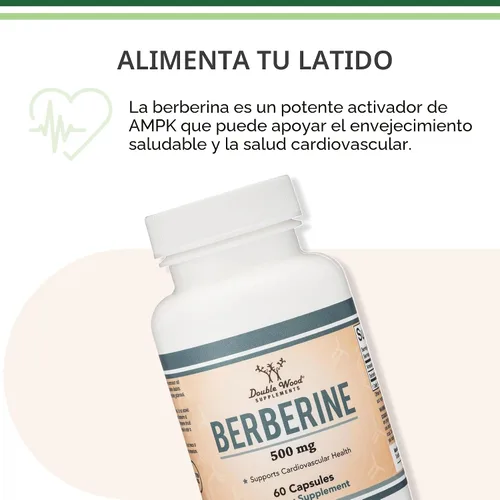 Vista 6 de Suplemento de berberina de 500 mg, alta pureza 97% HCl, 60 cápsulas (probado por terceros, sin OMG, sin gluten, apto para veganos) Activador AMPK