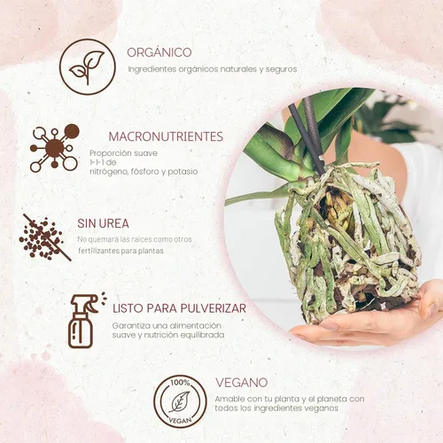 Vista 3 de Rocío de Alimento para Orquídeas Orgánico Listo para Rociar - Fertilizante Potenciador de Floración para Orquídeas en Macetas - Nutrientes Vegetales
