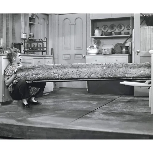 Vista 3 de I Love Lucy Season 1