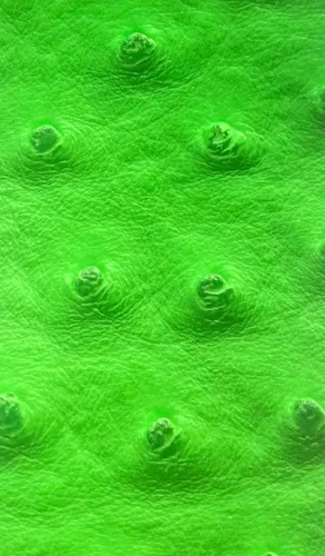 Vista 8 de Luvfabrics Tela impermeable de vinilo sintético de avestruz resistente a los rayos UV de grado marino (negro)