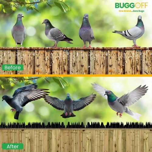 Vista 8 de BUGGOFF - Púas de pájaros y roedores, patrón único de espigas que disuade eficazmente a las molestas palomas, ardillas, mapaches. Se instala
