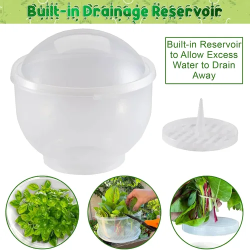 Vista 5 de Home-X Lechuga Keeper – Conservador de lechuga sin BPA para refrigerador para mantener ensaladas y verduras frescas – 7 x 8 pulgadas lechuga más