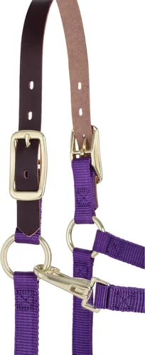 Vista 2 de Weaver Leather dogal para caballo ajustable con rotura de nailon, púrpura, para potrillo destetado/Pony