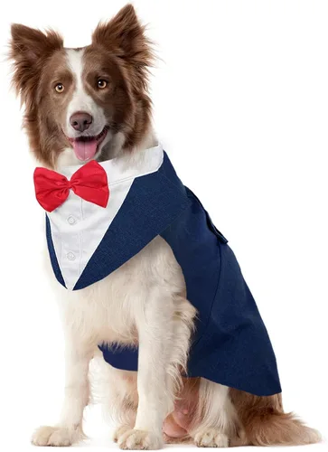 Vista 31 de Kuoser Conjunto de esmoquin para perro, traje de perro y bandana, disfraz Negro