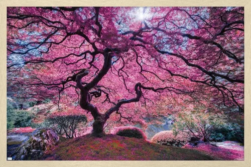 Vista 7 de Trends International Póster de pared Pink Tree 2 de Moises Levy, 22.4 pulgadas de largo x 14.7 pulgadas, versión enmarcada en madera de granero