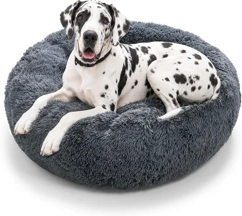 Vista 57 de JOLLYVOGUE - Cama para perros y gatos, cama relajante y antiestrés para mascotas y perros pequeños, cojín esponjoso en forma de dona para mascotas