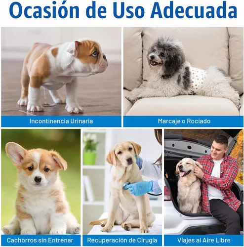 Vista 5 de Pet Soft Pañales desechables para perros machos, con indicador de humedad, ultra absorbentes, cómodos para incontinencia micción excitable, 50