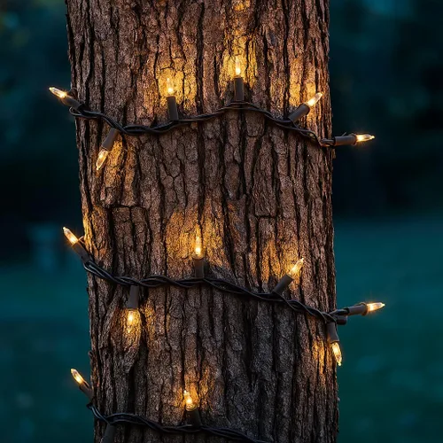 Vista 3 de Novelty Lights Mini luces incandescentes tradicionales de 11 pies, 50 bombillas, transparente en cable marrón con espacio de 2.5 pulgadas, grado