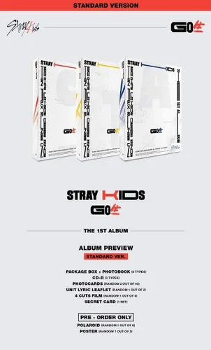 Vista 4 de 3 REGALOS Stray Kids Go Live Póster Doblado al azar al azar KPOP Premium Mask+Extra Photocard