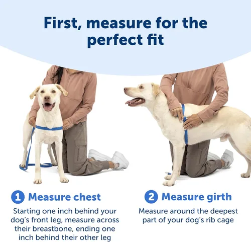 Vista 5 de PetSafe Easy Walk Deluxe Arnés para Perros, Arnés para Perros Sin Tirones – Perfecto para Entrenamiento con Correa y Arnés – Evita que las Mascotas