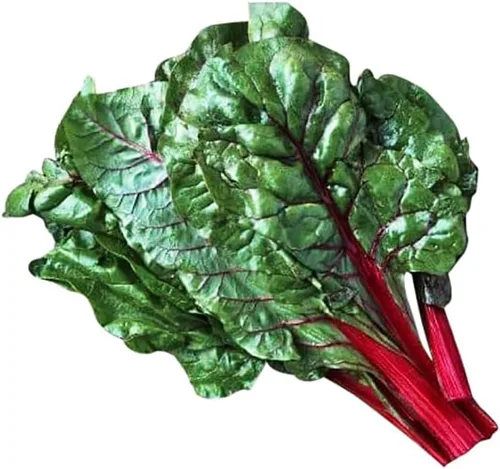Vista 5 de Acelga de ruibarbo - Deliciosa y nutritiva... - Deliciosa y nutritiva - Aproximadamente 175 semillas