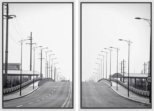 Vista 34 de SIGNFORD Lienzo enmarcado para pared, juego de arte geométrico retro de mediados de siglo, plantas forestales, ilustraciones con formas abstractas