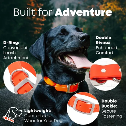 Vista 3 de Regal Dog Products Collar de Perro Naranja Mediano con Placa de Nombre Grabada Personalizada - Ajuste Personalizado, Resistente, Fácil de Limpiar