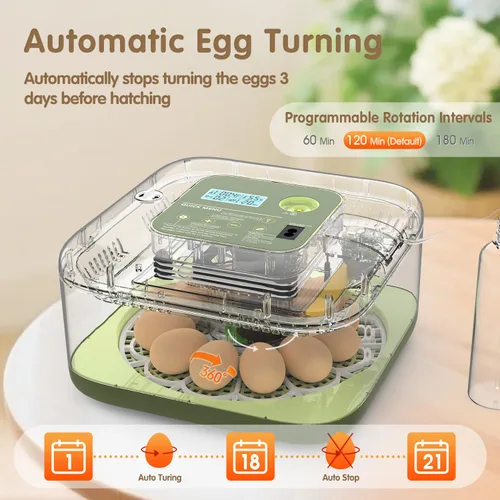 Vista 6 de HOWOOlUA - Incubadora de huevos para incubar huevos con giro automático, control de temperatura y humedad, incubadora de huevos integrada de gran