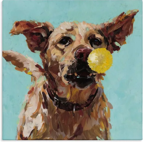 Vista 17 de Stupell Industries Lienzo de retrato abstracto de perro por Irena Orlov Stupell Industries 17 x 17 Inches, Easy to Hang and Sturdy, Made in USA