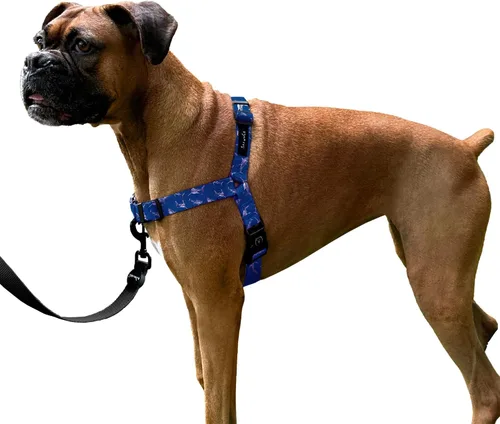 Vista 20 de ShawnCo Dream Walk Arnés para Perros Sin Tirones - Ajustable, Cómodo, Fácil de Usar, Cabestro para Mascotas para Ayudar a Detener los Tirones