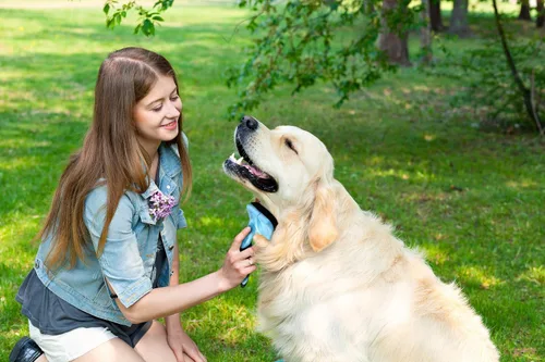 Vista 2 de Cepillo Slicker para Mascotas - Cepillo Autolimpiante para Perros y Gatos con Cerdas Retráctiles para Todo Tipo de Pelo - Púas de Masaje Eliminan