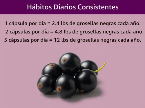 Vista 7 de KOYAH - Cápsulas de grosella negra orgánica, liofilizadas: 60 cápsulas