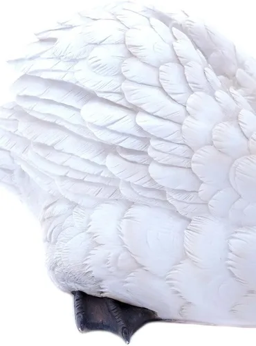 Vista 3 de Hi-Line Gift Ltd Estatua del cisne blanco, 17