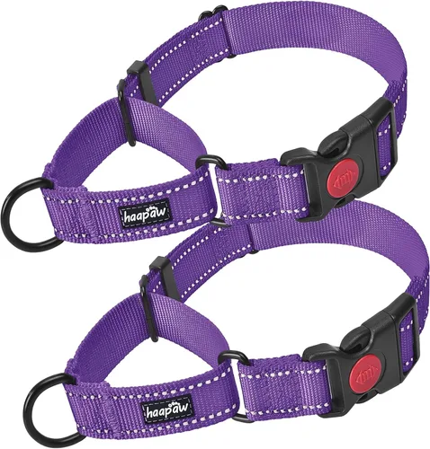 Vista 17 de Haapaw Collar de perro Martingala a prueba de escapes, beige, S