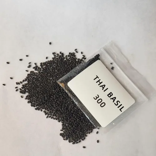 Vista 2 de Albahaca, hoja grande italiana, reliquia, 100 semillas, gran hierba fresca/seca