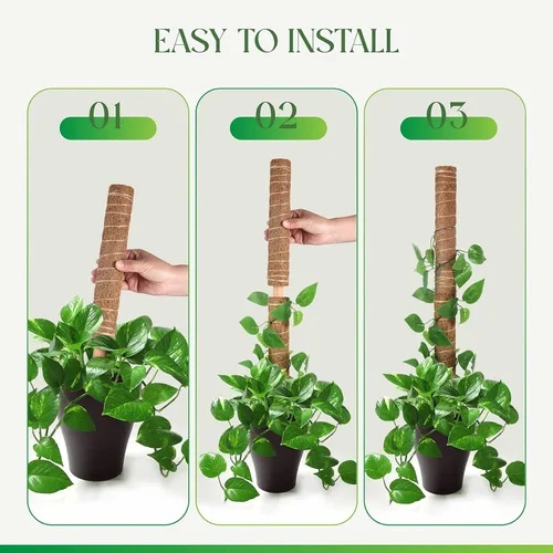 Vista 4 de Pisol Poste de musgo para plantas Monstera, soporte extensible, estacas para plantas en maceta de interior, enrejado de poste de fibra de coco
