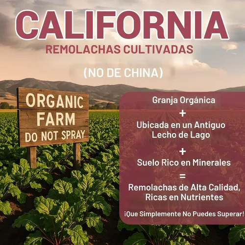 Vista 2 de Dr. Berg Polvo de Remolacha Orgánica Cruda de Raíces de Remolacha Reales Cultivadas en la Tierra – Polvo de Raíz de Remolacha Orgánica Certificado