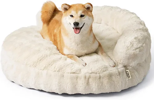 Vista 32 de EHEYCIGA Sofá cama suave para gatos de interior, cama extra pequeña esponjosa para perros con funda extraíble lavable, sofá para mascotas, Camello