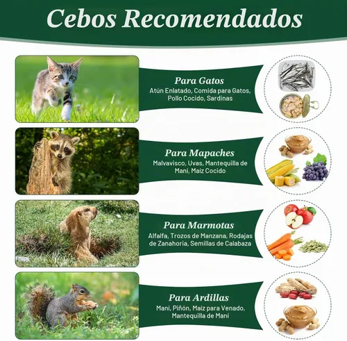 Vista 3 de Trampa para animales humanos, trampas plegables grandes de jaula viva de 37