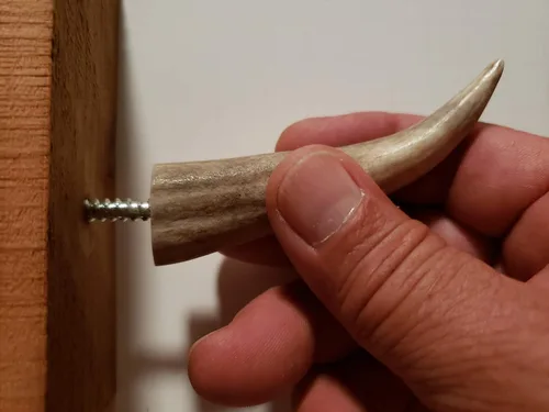 Vista 5 de Ganchos de pared con punta de asta real, atornillados en madera o paneles de yeso, paquete de 3