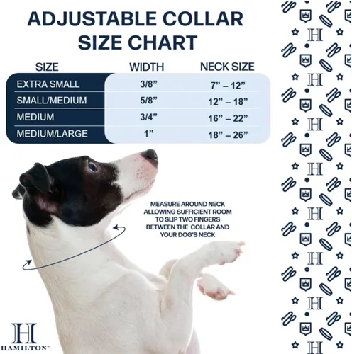 Vista 2 de Collar de perro ajustable de Hamilton, 3/8 pulgadas, Negro