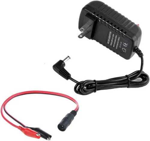 Vista 2 de Guy-Tech - Cargador para Peg Perego Ducati Monster Bike Case Gaucho Grande Razor (12 V)