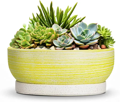 Vista 48 de Succulent Pots, 6 Inch Ceramic Bonsai Pots with Saucer, Blue