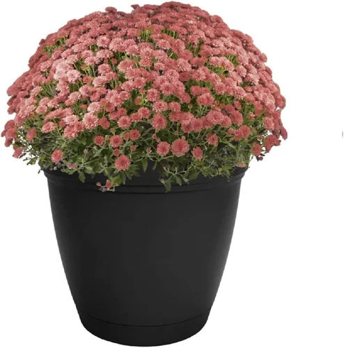 Vista 8 de The HC Companies Eclipse Maceta redonda de 6 pulgadas, con platillo, maceta para interiores y exteriores, para flores, verduras y hierbas, negro