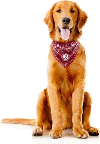 Vista 4 de Littlearth Bandana unisex NCAA para mascotas, reversible