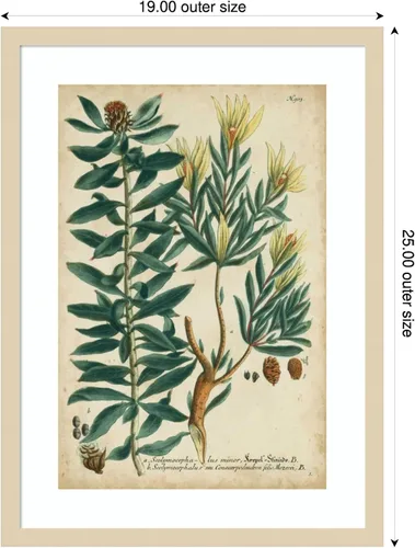Vista 2 de Amanti Art Lienzo decorativo enmarcado para pared, 25 x 19 pulgadas, follaje y fruta de Weinmann n.º 4 por Johann Wilhem Weinmann, arte de pared