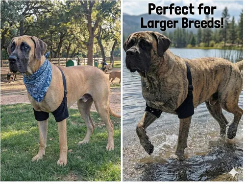 Vista 6 de Miller Eclipse - Coderas reforzadas para perros grandes y XL para higroma y alivio de codos
