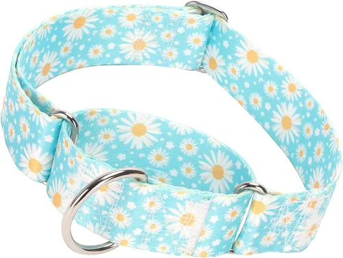 Vista 16 de Collar Martingale para Perro de 1.5 Pulgadas de Ancho - Diseño de Calavera Extra Resistente para Perros Grandes, Collar de Entrenamiento Ajustable
