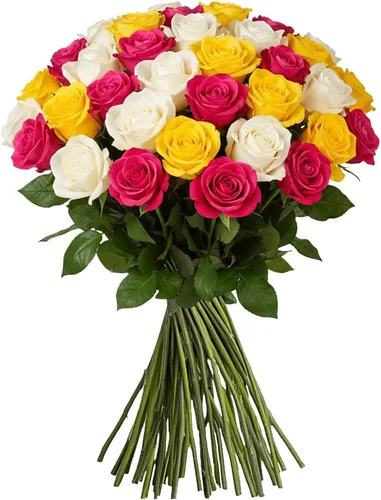 Vista 22 de GlobalRose Ramo de 50 rosas surtidas, rosas de origen responsable, flores frescas, ramo fresco de flores seleccionadas a mano para el día